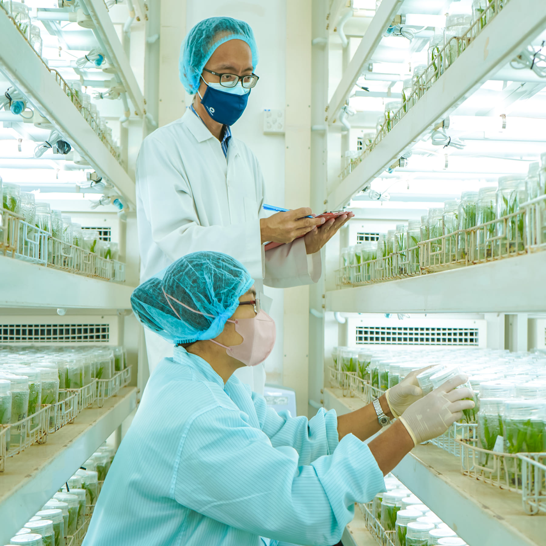palm-biotech-1.jpg