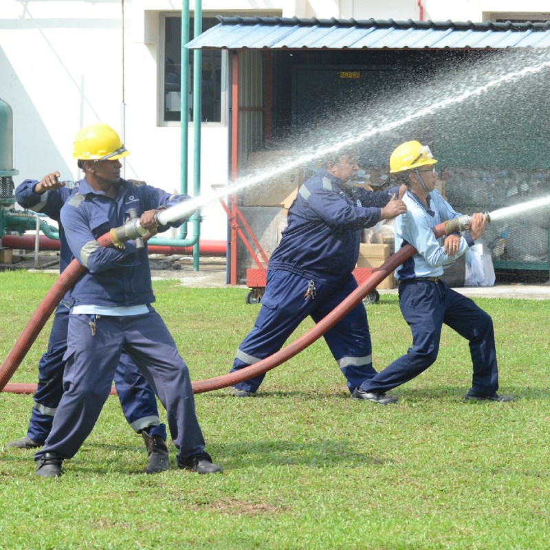 H&S_Big.jpg