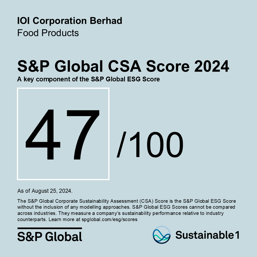 S&P Global Corporate Sustainability Assessment