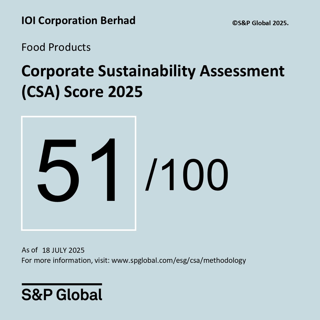 S&P Global Corporate Sustainability Assessment