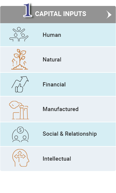 Capital Inputs