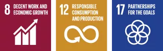Financial UN SDGs