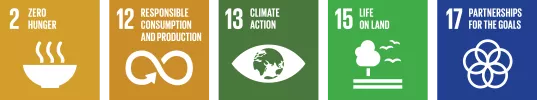 Intellectual UN SDGs