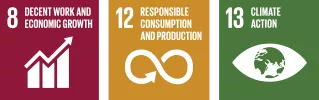 Manufactured UN SDGs