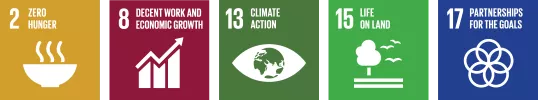 Social and Relationship UN SDGs
